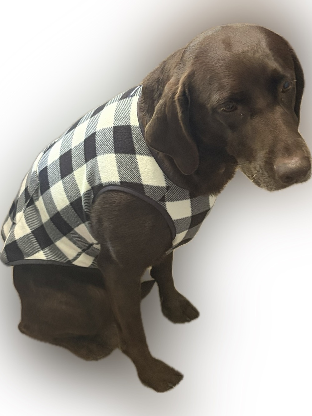 Lands’ End Large Dog Fleece jacket Buffalo plaid